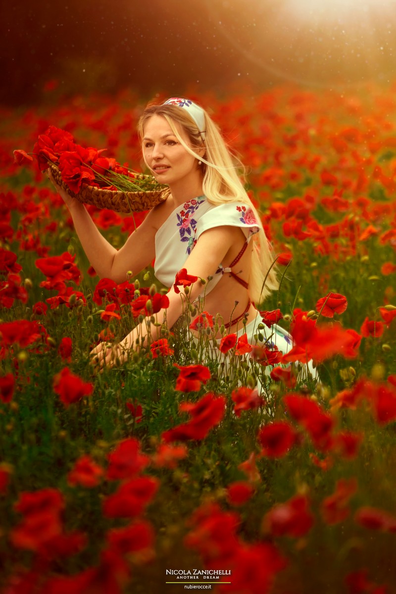 Mille Papaveri Rossi