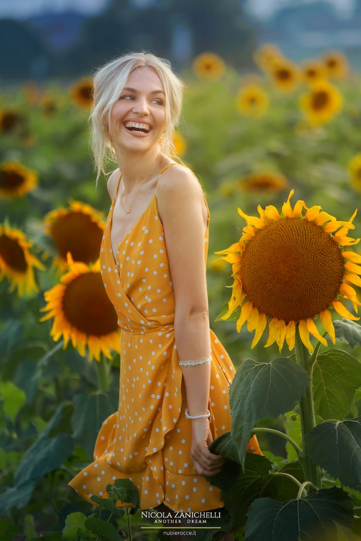 Sunflower Among Sunflowers  -  2018